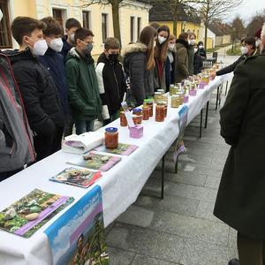 Firmlinge in Halbturn