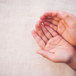 praying hands on toning copy space background