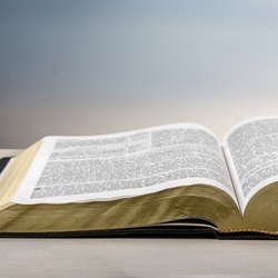 Bible.