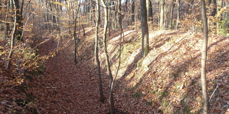 (Link: siehe Textende)