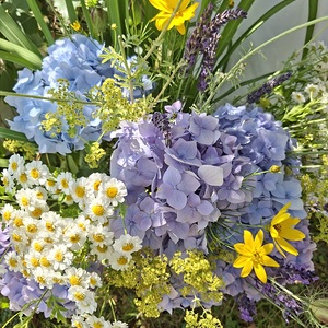 Fronleichnam 22.06.2025