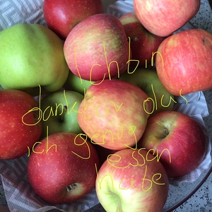 Meine Schale der Dankbarkeit