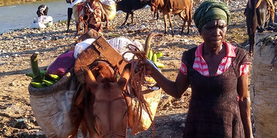 MIVA bittet um einen Zehntel-Cent pro unfallfreiem Kilometer, um weltweit Mobilität zu unterstützen. Maultiere zum Transport von Lasten werden in Haiti gebraucht.