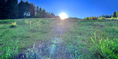 Mit dem 1. September hat in der Kirche die 'Schöpfungszeit' begonnen. Bis 4. Oktober finden dazu in der Diözese Eisenstadt zahlreiche Veranstaltungen statt. Dazu zählt auch die erstmalige Vergabe des kirchlichen Umweltpreises.